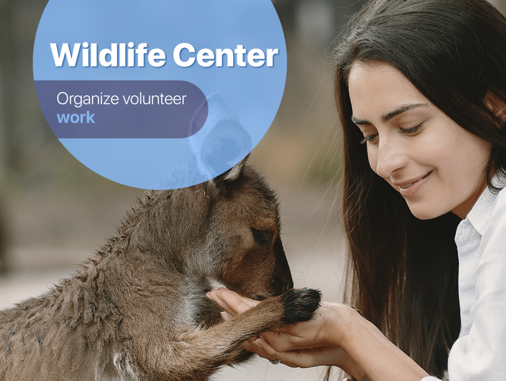 Eco-friendly Activities for High School Students: volunteer at a local wildlife center